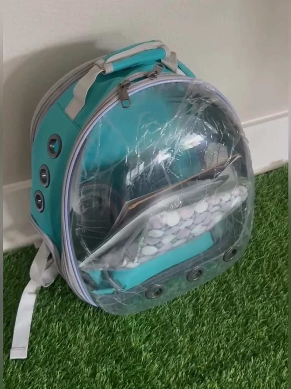 Lollimeow Expandable Cat Bubble Backpack Carrier